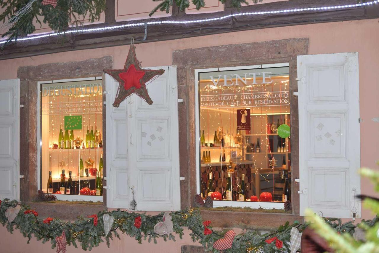 Chez Myriam Bed And Breakfast Studio Parme Colmar Exterior foto
